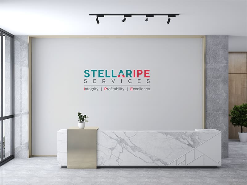 stellaripe logo design cover